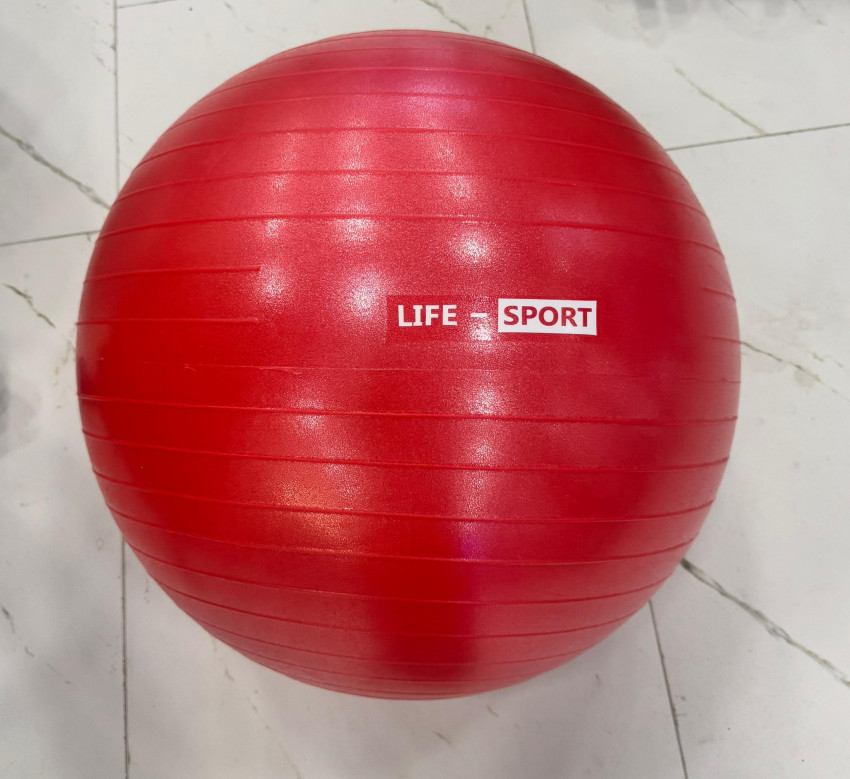 Life-Sport Stability Ball 55cm